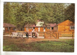 CPSM SAINT VRAIN (Essonne) - Parc De Saint Vrain : Ferme Des Animaux Familiers - Saint Vrain