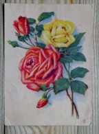 Postal Stationery Card From Ussr 1955 Flowers Roses - 1950-59