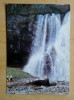 Postal Stationery Card From Ussr 1983 Georgia Abkhazia Waterfall - Georgia