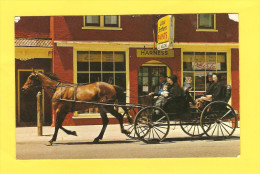 Postcard - Canada, Kitchener, Mennonite Family      (19986) - Kitchener