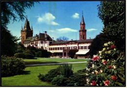 Weinheim  -  Im Schloßpark  -  Ansichtskarte Ca. 1969  (4611) - Weinheim