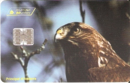 TARJETA DE ANDORRA DE UN AGUILA (EAGLE) - Águilas & Aves De Presa