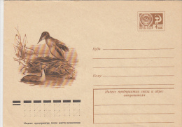 22437- BIRDS, CORMORANT, COVER STATIONERY, 1976, RUSSIA - Albatros & Stormvogels