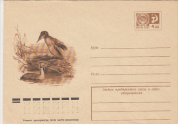 22437- BIRDS, CORMORANT, COVER STATIONERY, 1976, RUSSIA - Albatros