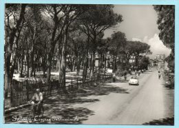 Delcampe - Follonica - Camping Internazionale - Grosseto