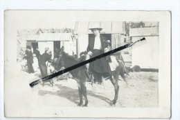 Carte Photo à Identifier- Photo Guillet Princet, Berck Plage - Ane - Berck