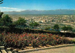 TORINO   PANORAMA  DEL  PARCO  EUROPA  DI  CAVORETTO    SFONDO   MONVISO     (VIAGGIATA) - Parken & Tuinen