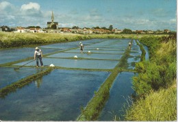 SALINS à BOURGNEUF EN RETZ - Bourgneuf-en-Retz