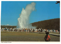 (999) USA - Yellowstone Natianl Park - Old Faithful Geyser - Yellowstone