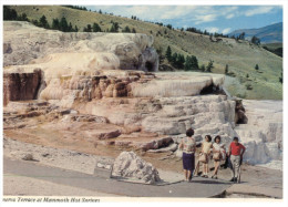 (999) USA - Yellowstone National Park - Minerva Terraces - Yellowstone