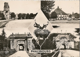 CPA-1955-57-PHALSBOURG-MULTIVUES-TBE - Phalsbourg