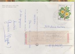 Islande CP 1984 Fleur - Covers & Documents