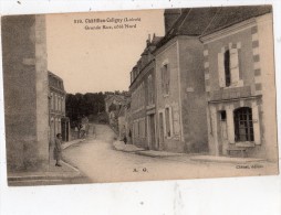 CHATILLON-COLIGNY GRANDE RUE COTE NORD COMMERCE - Chatillon Coligny