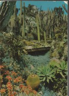 Principauté De Monaco - Le Jardin Exotique - Exotic Garden