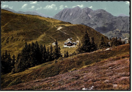 Saalbach  -  Schönleiten-Hütte  -  Mit Spielberghorn  -  Ansichtskarte Ca.1975    (4516) - Saalbach