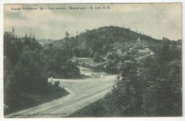 Parc Naturel - Natural Park - St. John, N.B. - 1907 - St. John