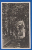 Schweiz; Küssnacht Am Rigi; Hohle Gasse Und Tellkapelle; 1931 - Küssnacht
