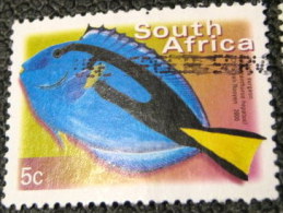 South Africa 2000 Paracanthurus Hepatus Fish 5c - Used - Used Stamps