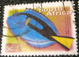 South Africa 2000 Paracanthurus Hepatus Fish 5c - Used - Used Stamps