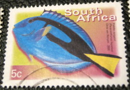 South Africa 2000 Paracanthurus Hepatus Fish 5c - Used - Used Stamps