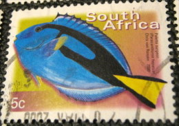 South Africa 2000 Paracanthurus Hepatus Fish 5c - Used - Oblitérés