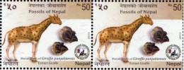 Prehistoric GIRAFFE Fossil STAMP Imperf TRIAL/PROOF Copy NEPAL 2013 MINT/MNH - Giraffen