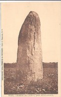 MENHIR DU CLOITRE Près HUELGOAT - Dolmen & Menhirs