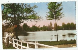 Boran-sur-Oise  (60.Oise)  Pêcheurs à La Ligne  - étang De Royaumont - Boran-sur-Oise