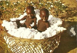 TCHAD LA VIE AU TCHAD  1 ENFANTS  SARAS DANS UN PANIER DE COTON REGION DE KOUMRA EDITAME ECRITE - Tsjaad