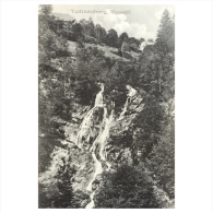 Todtnauberg  Wasserfall     Eing. Gebruder 1906   40982 - Todtnau