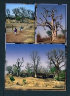 GAMBIA  -  Rural Scenes  Multi View  Unused  Postcard As Scan - Gambia