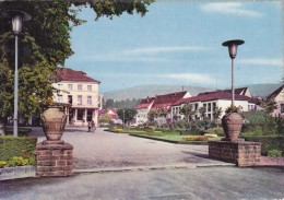 NIEDERBRONN LES BAINS - Le Casino Municipal - Niederbronn Les Bains