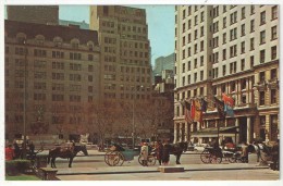 The Hansom Cab, Awaiting Passengers For A Ride Through Central Park, New York City - Central Park