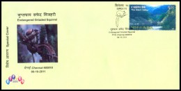 INDIA, 2011, ENDANGERED GRIZZLED SQUIRREL, Special Cover, SQUIRREL, Animal, Rodent, Wild, FAUNA, Valley, Nature. - Lettres & Documents