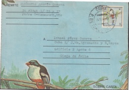 1987-EP-74 CUBA 1987. Ed.203a. ENTERO POSTAL. POSTAL STATIONERY. TOCOLORO. AVES. BIRDS. MATANZAS. USED. - Brieven En Documenten