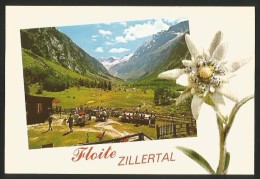 FLOITE Zillertal Tirol Floitengrund Blick Zum STEINBOCK-HAUS - Zillertal