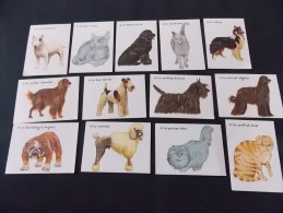 Lot  De 13 Bon Points Chiens Chats éditions Lito La Grande Famille Des Animaux Et De La Nature - Animali