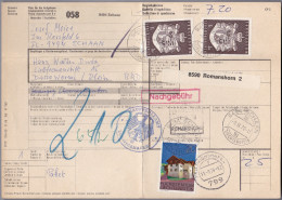 Liechtenstein 1978-09-09 SCHAAN Postpaketkarte Nach Worms BRD - Brieven En Documenten