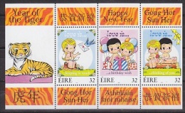 Ireland 1998 Year Of The Tiger  M/s  ** Mnh (22604) - Blocks & Sheetlets