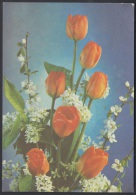 1987-EP-143 CUBA 1987. Ed.143a. MOTHER DAY SPECIAL DELIVERY. POSTAL STATIONERY. FLORES. FLOWERS. UNUSED. - Storia Postale