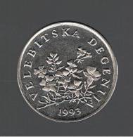 CROATIA - CROACIA -  50 Lipa 1993   KM8  - Flowers - VELEBITSKA DEGENIJA - Croatie