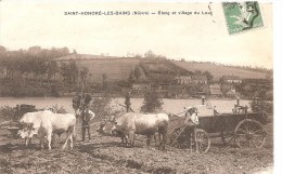 Cpa 58 Saint Honore Les Bains Etang Et Village Du Leu Belle Animation Attelage De Boeufs - Saint-Honoré-les-Bains