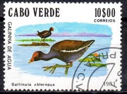 CAPE VERDE 1981 Birds -  10e - Moorhens   FU - Kaapverdische Eilanden