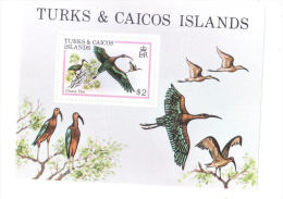 Turks & Caicos 1980 Birds S/S MLH - Turks & Caicos