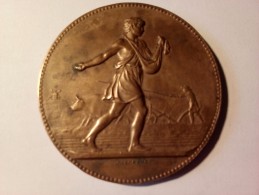 MEDAILLE EN BRONZE "LA SEUMEUSE "J.LAGRANGE REPUBLIQUE FRANCAISE Ministère De L'agriculture Science Labeur - Autres & Non Classés