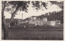 Rheinfelden Brauerie Feldschloesschen Brasserie - Rheinfelden