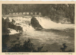 DER  RHEINFALL  BEI SHAFFHAUSEN      (VIAGGIATA) - Autres & Non Classés