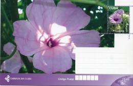 Lote TP30,  Cuba, 2011, Entero Postal, Postal Stationary, Flor, Flower - Cartoline Maximum