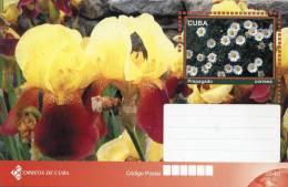 Lote TP32-14, Cuba, 2011, Entero Postal, Postal Stationary, Orquidea, Orchid - Maximum Cards