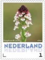 Nederland  2013 Ucollect  Orchidee 10 Aangebrande Ordchis Postfris/mnh/neuf - Ungebraucht